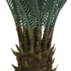 Plante Artificielle - Cycas Du Japon 80cm 7 Plante Artificielle - Cycas Du Japon 80cm -Pas Cher Douce Verte Magasin 639b1df449a0b6.23211245