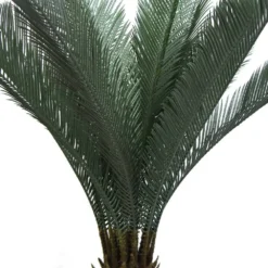 Plante Artificielle - Cycas Du Japon 80cm 6 Plante Artificielle - Cycas Du Japon 80cm -Pas Cher Douce Verte Magasin 639b1df44cfa15.23999553