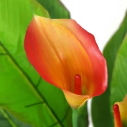 Plante Artificielles - Arum 85cm -Pas Cher Douce Verte Magasin 63cbb4407cfe14.53074376