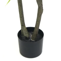 Plante Artificielle - Dracaena 150cm -Pas Cher Douce Verte Magasin 63cbb4418d0807.95290697
