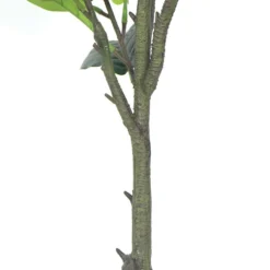 Plante Artificielle - Figuier 135cm 5 Plante Artificielle - Figuier 135cm -Pas Cher Douce Verte Magasin 63cbb442b97305.38121552