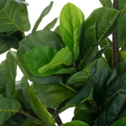 ATMOSPHERA Plante Artificielle Ficus Lyrata En Pot H 180 Cm -Pas Cher Douce Verte Magasin 63eb35d25efc56.76728614