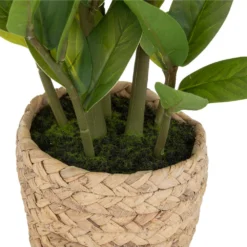 ATMOSPHERA Plante Artificielle Zamio En Pot H 41 Cm -Pas Cher Douce Verte Magasin 63eb35dbddde12.31611138