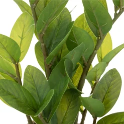 ATMOSPHERA Plante Artificielle Zamio En Pot H 41 Cm -Pas Cher Douce Verte Magasin 63eb35dbe24004.82824450