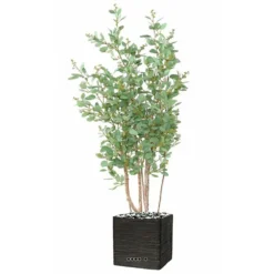 Joli Faux Eucalyptus En Pot H 160 Cm Feuillage Tissu Vert 4 Joli Faux Eucalyptus En Pot H 160 Cm Feuillage Tissu Vert -Pas Cher Douce Verte Magasin 63f60808610a68.01303219