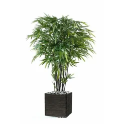 Bambou Artificiel à Cannes Noires Effet Zen H 270 Cm - Choisissez Votre Hauteur: 4 Bambou Artificiel à Cannes Noires Effet Zen H 270 Cm - Choisissez Votre Hauteur: -Pas Cher Douce Verte Magasin 63f6080a465852.40286520