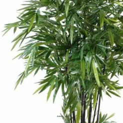 Bambou Artificiel à Cannes Noires Effet Zen H 270 Cm - Choisissez Votre Hauteur: 5 Bambou Artificiel à Cannes Noires Effet Zen H 270 Cm - Choisissez Votre Hauteur: -Pas Cher Douce Verte Magasin 63f6080a4cc649.27920023