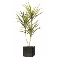 Dracaena Artificiel 3 Troncs En Pot H 190 Cm Vert-rose - Choisissez Votre Hauteu -Pas Cher Douce Verte Magasin 63f6080eea43b1.14096174