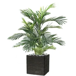 Joli Palmier Areca Artificiel En Pot Multitroncs H 85 Cm Vert - Choisissez Votre -Pas Cher Douce Verte Magasin 63f60811bcd531.32025912
