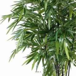 Bambou Artificiel à Cannes Noires Effet Zen H 180 Cm - Choisissez Votre Hauteur: 3 Bambou Artificiel à Cannes Noires Effet Zen H 180 Cm - Choisissez Votre Hauteur: -Pas Cher Douce Verte Magasin 63f60816ad1164.17770060
