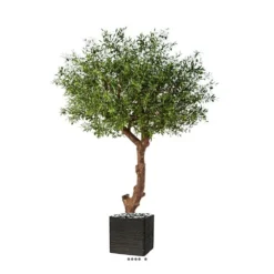 Superbe Olivier Majestueux Artificiel En Pot H 270 Cm -Pas Cher Douce Verte Magasin 63f6082304cc38.03362465