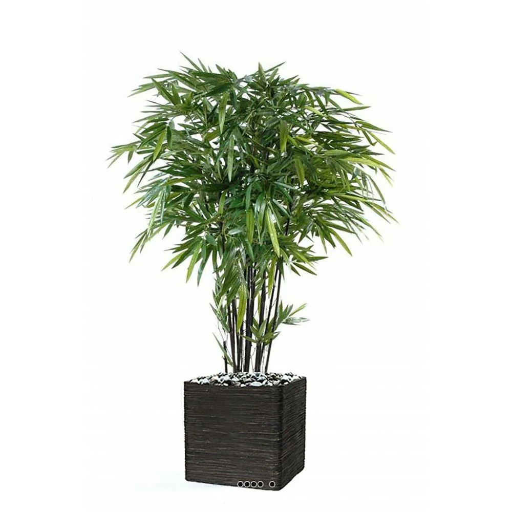 Bambou Artificiel à Cannes Noires Effet Zen H 150 Cm - Choisissez Votre Hauteur: 2 Bambou Artificiel à Cannes Noires Effet Zen H 150 Cm - Choisissez Votre Hauteur: – Image 2