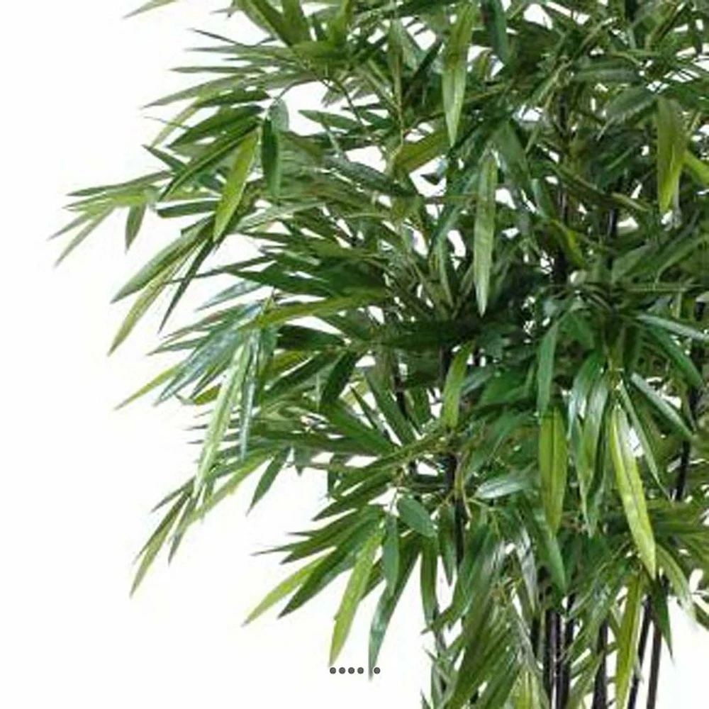 Bambou Artificiel à Cannes Noires Effet Zen H 150 Cm - Choisissez Votre Hauteur: 3 Bambou Artificiel à Cannes Noires Effet Zen H 150 Cm - Choisissez Votre Hauteur: – Image 3