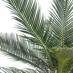 Palmier Cycas Artificiel En Pot H 50 Cm Vert - Choisissez Votre Hauteur: H 50 Cm -Pas Cher Douce Verte Magasin 63fa5142a15859.96036681