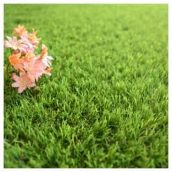 Gazon Synthétique Fontainebleau - 30mm - 1m X 9m -Pas Cher Douce Verte Magasin 645d645d3244b6.85261918