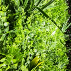Mur Végétal Artificiel Fougère Dense Prix/m² -Pas Cher Douce Verte Magasin 646fa622a757c6.13018521