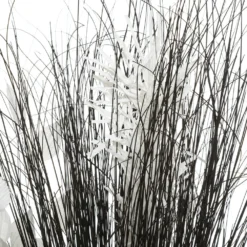 ATMOSPHERA Fagot De Fleurs Et Tiges Séchées Blanc Et Noir D. 36 X H. 100 Cm -Pas Cher Douce Verte Magasin 64821bbb5ab272.19897568