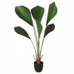 Palmier Artificiel Cuillère Licuala 110cm -Pas Cher Douce Verte Magasin 66a24db83bcb9ad7