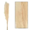 Bouquet Séché Pampas Mace 115-117cm 3pcs