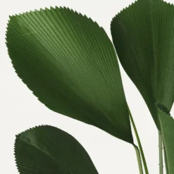 Palmier Artificiel Cuillère Licuala 110cm -Pas Cher Douce Verte Magasin cd7baedf06194b5b